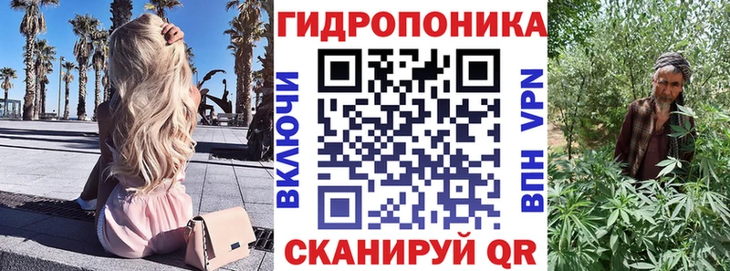 Канабис OG Kush  Курск 